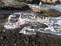 IMG_20190814_173107892