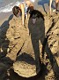 IMG_20190816_170300238