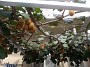 IMG_20190817_094125233