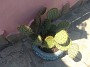 IMG_20190820_123726501