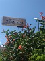 IMG_20190820_124554659