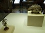 DSC04839