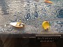IMG_20190829_152401417