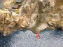 IMG_20190829_164803519