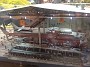 IMG_20190829_170739754