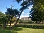 IMG_20190831_120834650_HDR