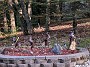 IMG_20190928_171339