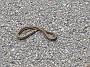 IMG_20190928_173609