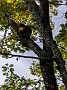 IMG_20191013_100415