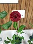 20191006_124442
