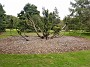 20191006_140013