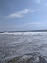 IMG_20191001_124854