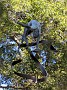 IMG_20191019_135423