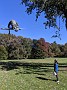IMG_20191019_135916