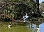 IMG_20191019_140657
