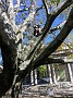 IMG_20191019_141100