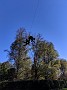 IMG_20191019_150908