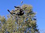 IMG_20191019_151525