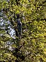 IMG_20191019_152351