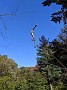 IMG_20191019_153526