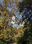 IMG_20191019_155640_1