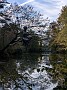 IMG_20191019_160936