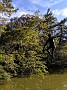 IMG_20191019_161156