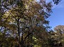 IMG_20191019_162215
