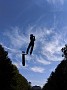 IMG_20191019_163014