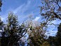 IMG_20191019_163141