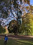 IMG_20191019_163338