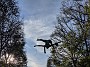 IMG_20191019_163858