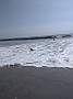 MVIMG_20191001_125933