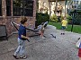 MVIMG_20191001_164652