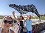 MVIMG_20191002_103341