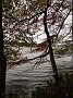 MVIMG_20191006_124655
