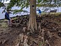 MVIMG_20191006_130457