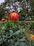 MVIMG_20191006_132917