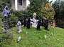 IMG_20191031_153338