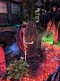 IMG_20191031_175359