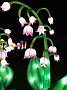 IMG_20190106_174136866