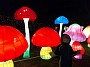 IMG_20190106_174343694
