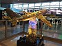 IMG_20190217_163338783