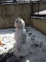 IMG_20190304_140638586