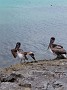 20190419_154055