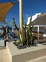 IMG_20190418_094743207