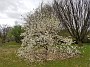 20190414_143703