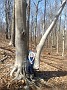 IMG_20190407_125251001