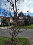 IMG_20190410_084933727_HDR
