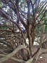 IMG_20190414_143006660